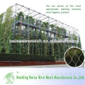 Baoding Baina Stainless Steel Climbing Wall Mesh para venda